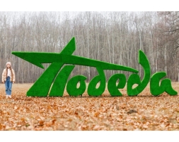 Топиари стела Победа II - газон Eco+ , фото 3