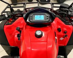 Квадроцикл BISON Explorer 320 4x4, фото 10