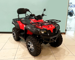 Квадроцикл BISON Explorer 320 4x4, фото 8