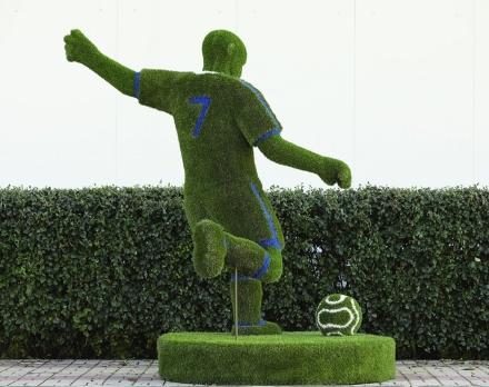 Топиари Футболист - газон Eco, фото 3