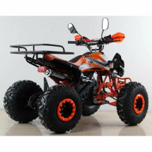 Квадроцикл MOTAX ATV T-Rex Super LUX 125 сс