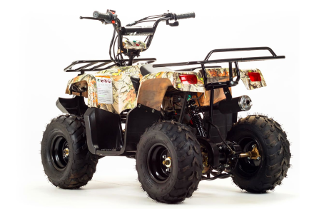 Квадроцикл MOTOLAND 110 Rider (2021 Г.), фото 3