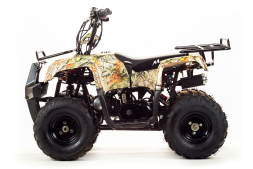 Квадроцикл MOTOLAND 110 Rider (2021 Г.), фото 2 Квадроцикл MOTOLAND 110 Rider (2021 Г.), фото 2