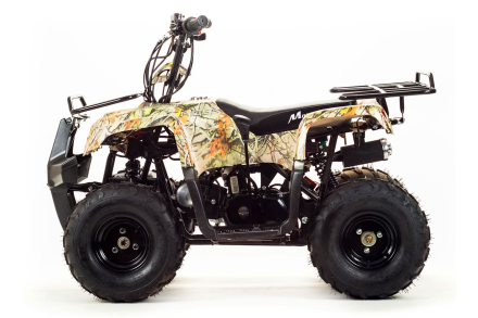 Квадроцикл MOTOLAND 110 Rider (2021 Г.), фото 2