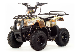 Квадроцикл MOTOLAND 110 Rider (2021 Г.), фото 1 Квадроцикл MOTOLAND 110 Rider (2021 Г.), фото 1