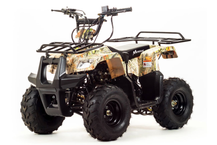 Квадроцикл MOTOLAND 110 Rider (2021 Г.), фото 1