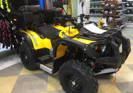 Квадроцикл СТЕЛС ATV 500 YS Leopard, фото 2