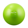 Изображение товара Мяч гимнастический GB-101 (75 см, зеленый, антивзрыв)