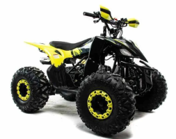 Квадроцикл MOTOLAND 125 Raptor, фото 7 Квадроцикл MOTOLAND 125 Raptor, фото 7