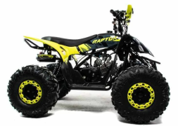 Квадроцикл MOTOLAND 125 Raptor, фото 6 Квадроцикл MOTOLAND 125 Raptor, фото 6