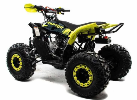 Квадроцикл MOTOLAND 125 Raptor, фото 3