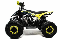 Квадроцикл MOTOLAND 125 Raptor, фото 2 Квадроцикл MOTOLAND 125 Raptor, фото 2