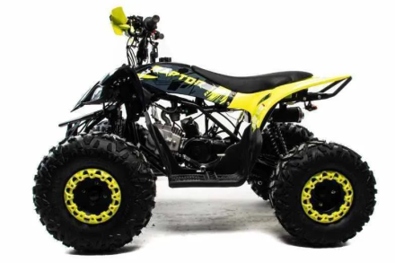 Квадроцикл MOTOLAND 125 Raptor, фото 2
