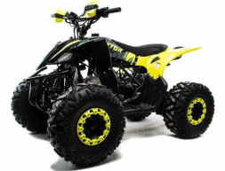 Квадроцикл MOTOLAND 125 Raptor, фото 1 Квадроцикл MOTOLAND 125 Raptor, фото 1