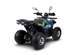 Квадроцикл AVANTIS Ray 8 Premium, фото 3