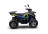 Квадроцикл AVANTIS Ray 8 Premium