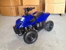 Квадроцикл RAPTOR 110