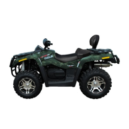 Квадроцикл WELS ATV 800 EFI, фото 4