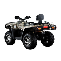 Квадроцикл WELS ATV 800 EFI, фото 2