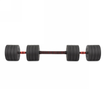 Гантели разборные с грифом, 50 кг (2 шт. х 25 кг) (2 места)