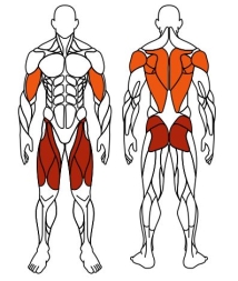 Тяга верхняя+Флекс (серый) - Уличный тренажер - СТ 021-13.И1, фото 6