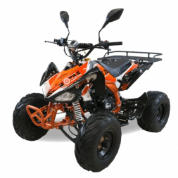 Квадроцикл MOTAX ATV T-Rex-LUX 125 сс, фото 1