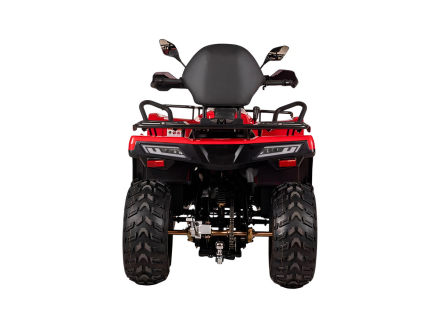 Квадроцикл BIZON YK200 Basic Carb, фото 5