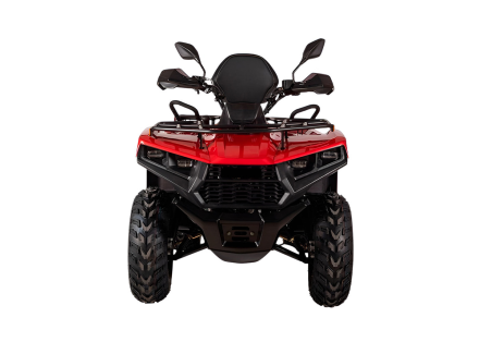 Квадроцикл BIZON YK200 Basic Carb, фото 4