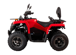 Квадроцикл BIZON YK200 Basic Carb, фото 2