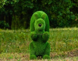 Топиари Белочка с кольцом под кашпо газон Premium, фото 3