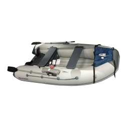 Моторная лодка ПВХ GOLFSTREAM MF 320 НДНД Графит