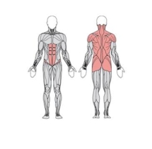Твистер стоя одинарный УТЭ-038П