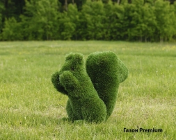 Топиари белочка Малышка - газон Deluxе, фото 4