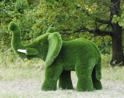 Топиари слон Лермон - газон Premium, фото 1