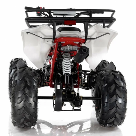 Квадроцикл MOTAX ATV Raptor LUX 125 сс, фото 5