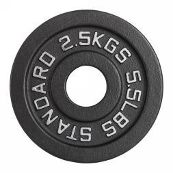 Диск 51 мм. чугунный окрашенный  2,5 кг (модель: D4), фото 1