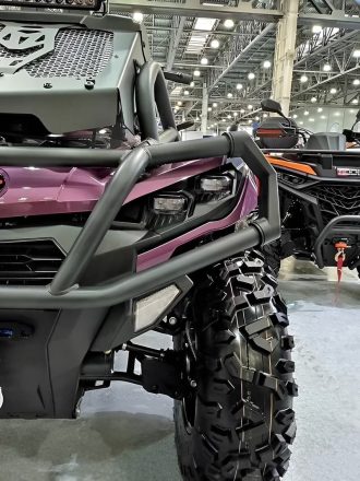 Квадроцикл АОДЕС Pathcross MAX 1000 LTD (2025), фото 3