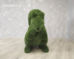 Топиари Белочка - газон Eco, фото 6