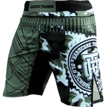 Шорты Hardcore Training hctshorts034