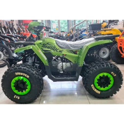 Квадроцикл Avantis HS8 Shark, фото 6