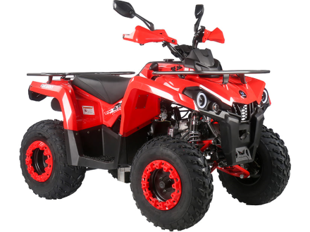 Квадроцикл MIKILON Hammer 200L, фото 2