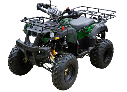 Квадроцикл UNIVERSAL ATV 200 TM Bull plus, фото 1