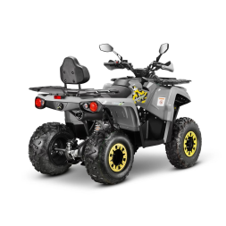 Квадроцикл GLADIATOR F200 Lux Plus, фото 5 Квадроцикл GLADIATOR F200 Lux Plus, фото 5