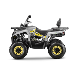 Квадроцикл GLADIATOR F200 Lux Plus, фото 4 Квадроцикл GLADIATOR F200 Lux Plus, фото 4