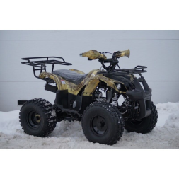 Квадроцикл MOTOLAND 125 Fox A, фото 13 Квадроцикл MOTOLAND 125 Fox A, фото 13