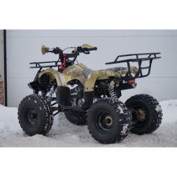 Квадроцикл MOTOLAND 125 Fox A, фото 10 Квадроцикл MOTOLAND 125 Fox A, фото 10