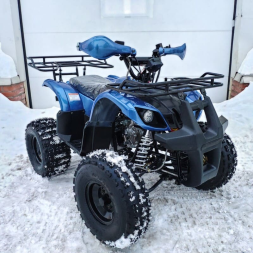 Квадроцикл MOTOLAND 125 Fox A, фото 8 Квадроцикл MOTOLAND 125 Fox A, фото 8