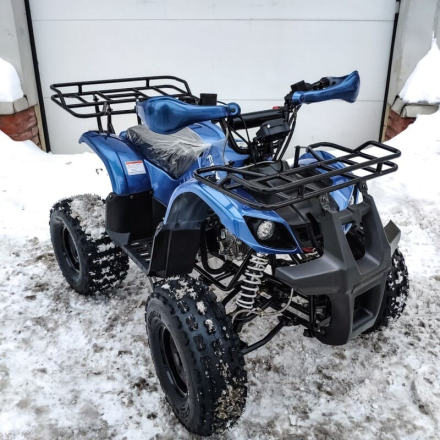 Квадроцикл MOTOLAND 125 Fox A, фото 4