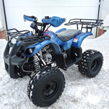 Квадроцикл MOTOLAND 125 Fox A