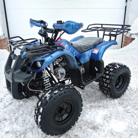 Квадроцикл MOTOLAND 125 Fox A, фото 3